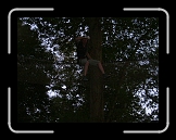 equinox76 (53) * 1632 x 1224 * (1.25MB)